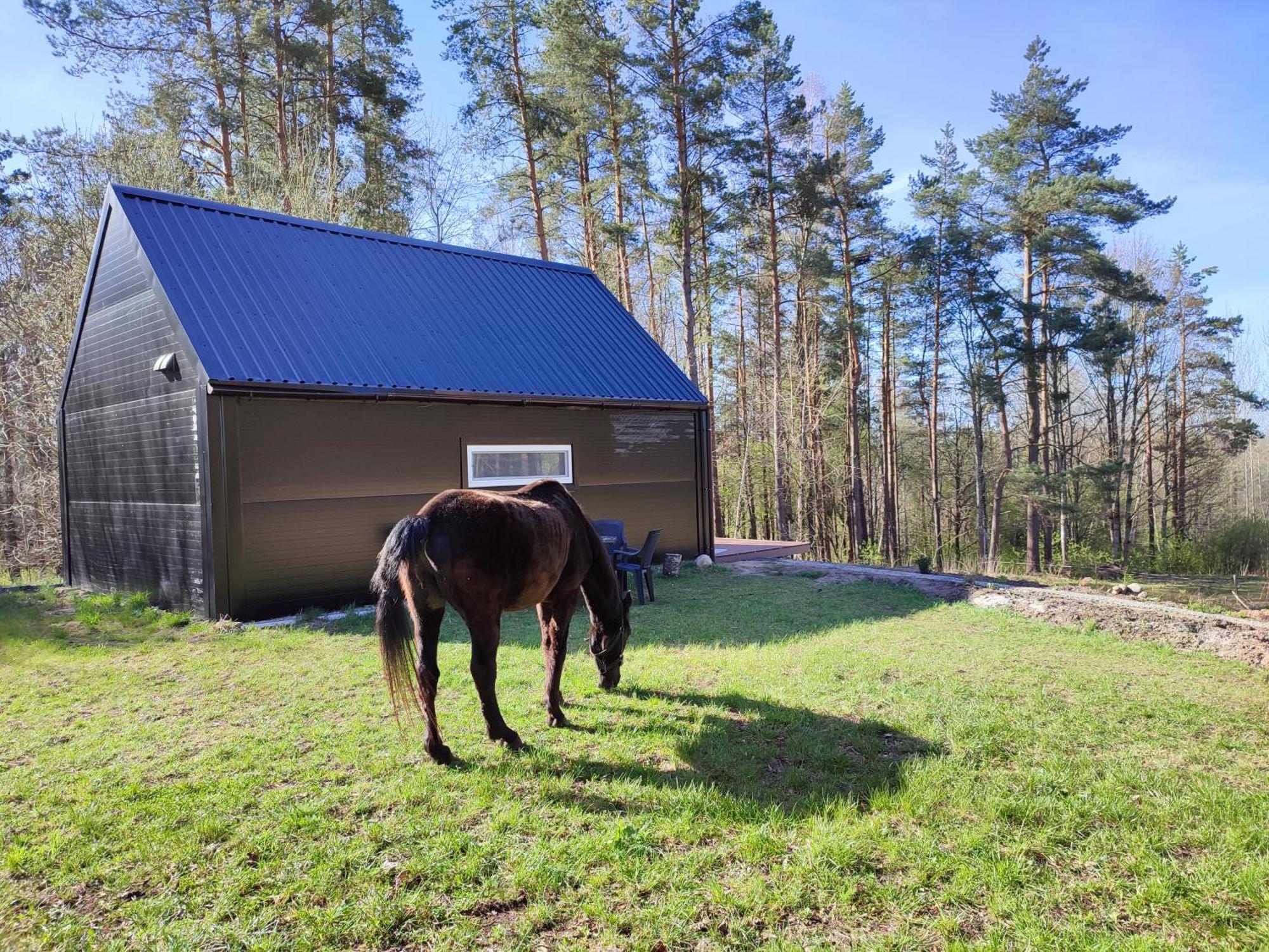 Modern Sauna Cabin In Horse Ranch Liyeplauke Екстер'єр фото