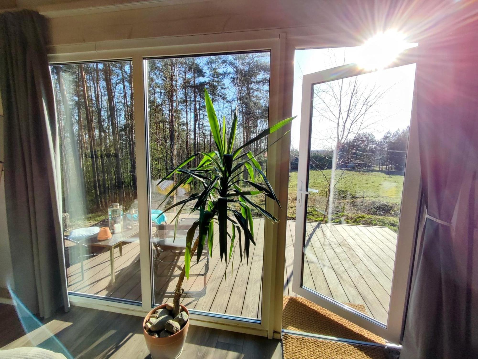 Modern Sauna Cabin In Horse Ranch Liyeplauke Екстер'єр фото